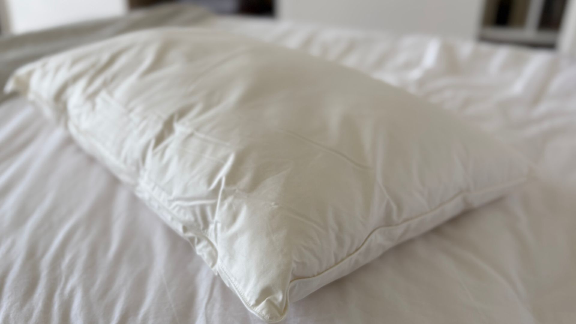 Soak &amp; Sleep New Zealand Wool Pillow