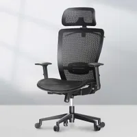 FlexiSpot ergonomic office chair