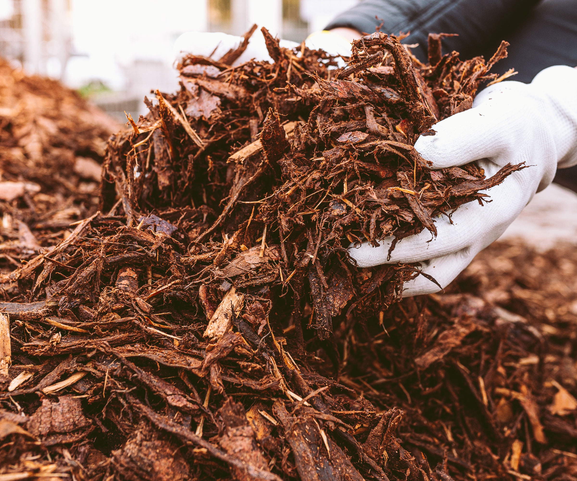 mulch being held with white gloves
