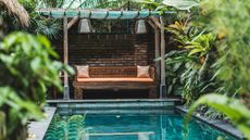 small swimming pool surrounded by tropical plants