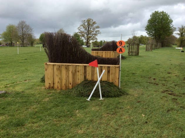 The World Horse Welfare Brushes