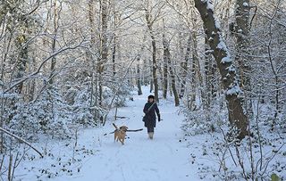 A woman walks her dog through snow in Sydenham Woods on February 28, 2018 in London, United Kingdom. Freezing weather conditions dubbed the 'Beast from the East' has continued to bring distruption to many parts of the country, with snow and sub-zero temperatures reaching much of the UK. (Photo by Dan Kitwood/Getty Images)