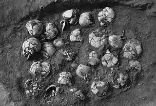 A sacrificial pit of human skulls discovered at Shimao. The people sacrificed may have been captives captured in war. This photo was first published in 2016 in an article in the Chinese language journal Kaogu yu wenwu.