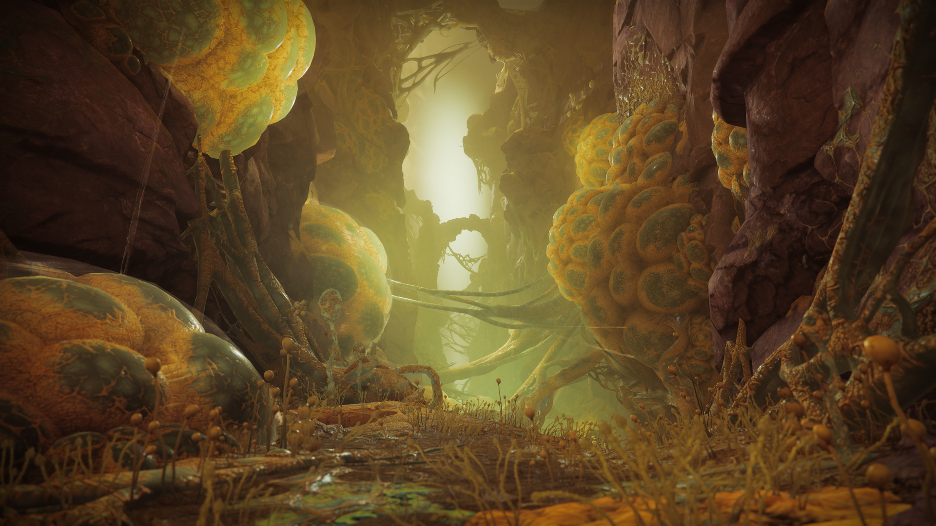 Images and artwork from the Destiny 2: The Edge of Fate expansion