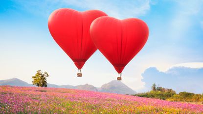 Red heart air balloon over on Beautiful Cosmos Flower in park.