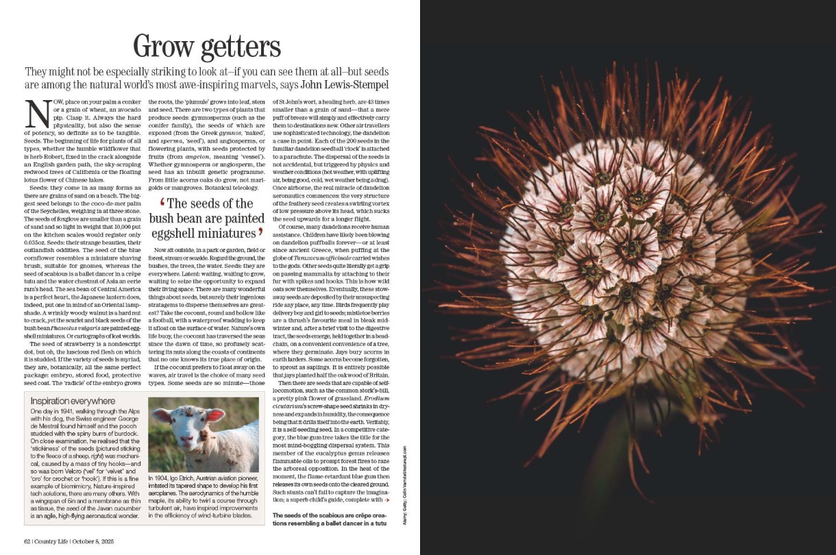 Spreads from Country Life 8 October 2025