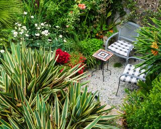 small gravel patio surrounded by jungle-style exotic plants
