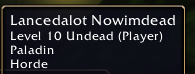 Players running around in WoW: Forever with some suspect, silly names.