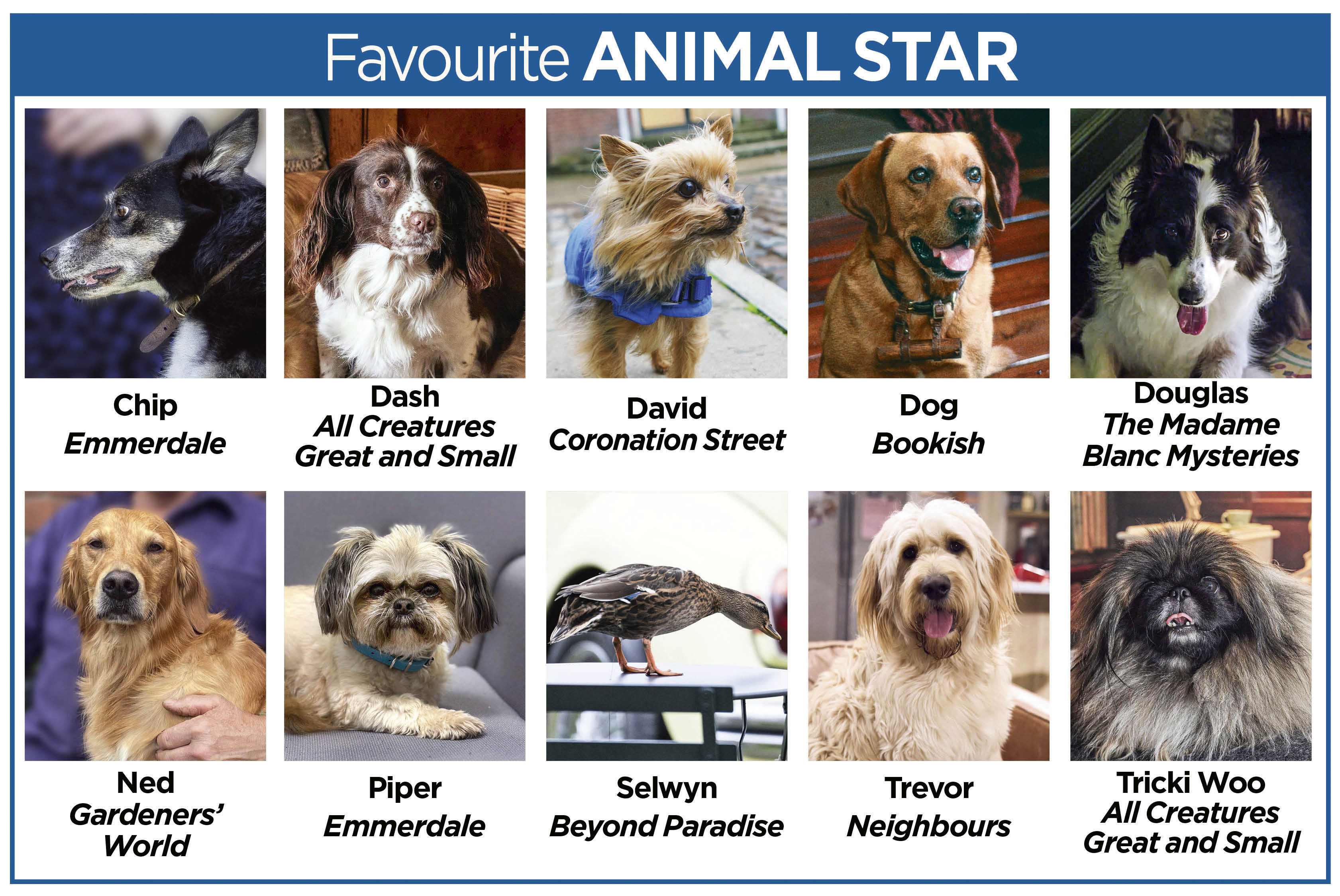 TV Times Awards animal star