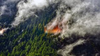 A wildfire is seen in a forested mountainside, with orange flames among green pine trees and smoke drifting to the top right of the image