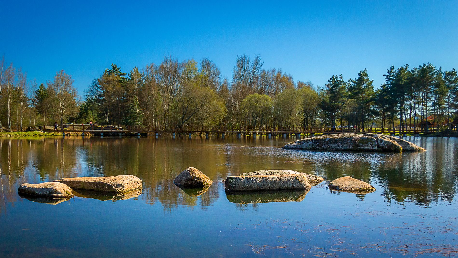 GuruShots - Vivid Landscapes March 2026