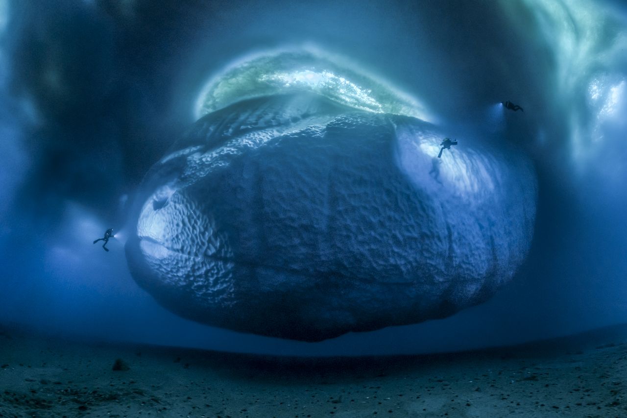 The ice monster &copy; Laurent Ballesta - Wildlife Photographer of the Year