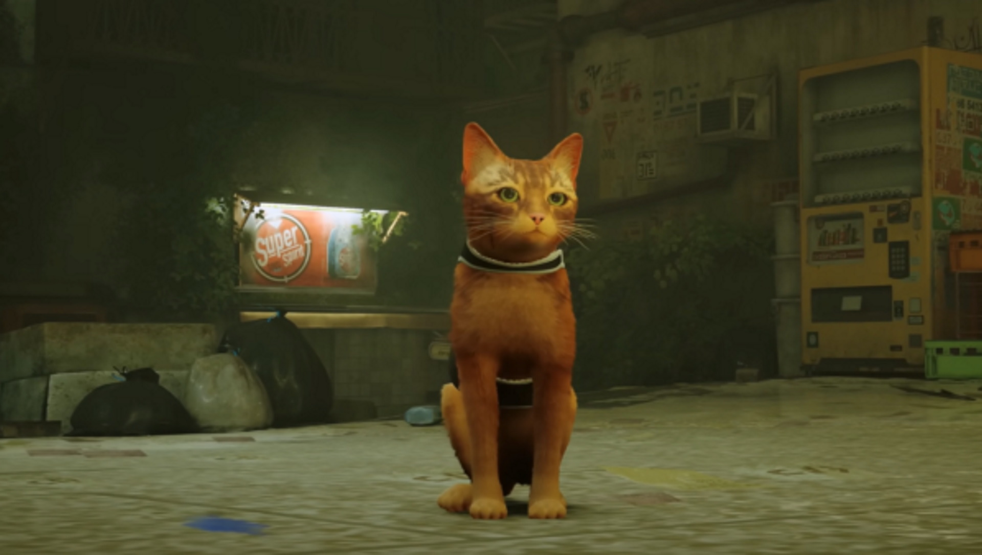 What are the Zurks in Stray, the cyberpunk cat game?