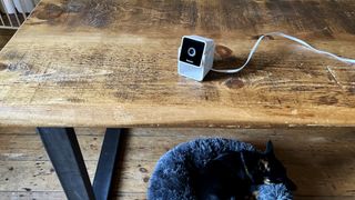 Petcube camera on a table