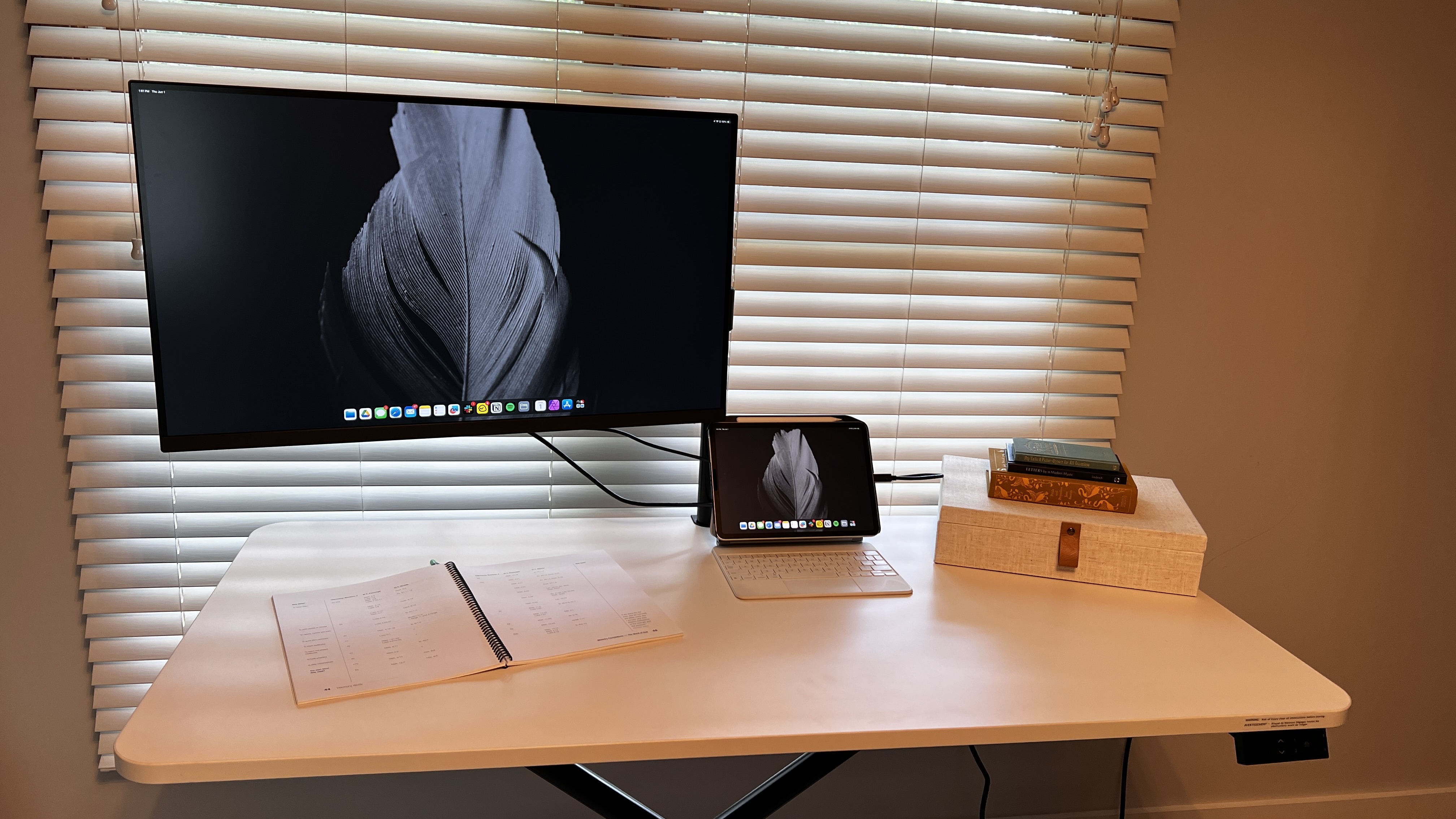 Lillipad Standing Desk setup