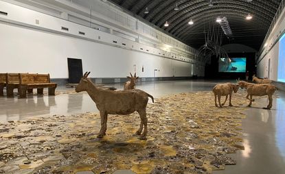 Art installation with goats
