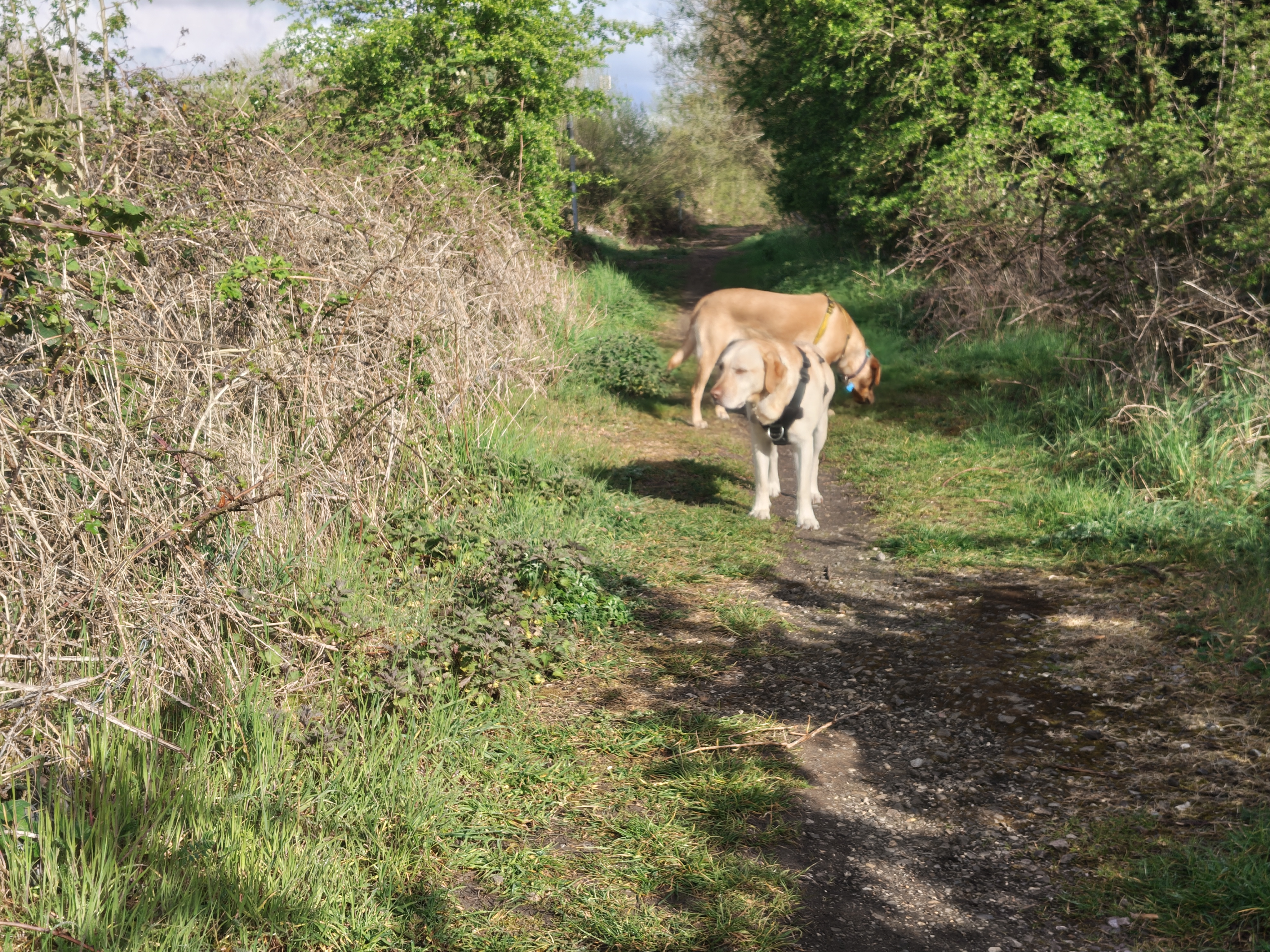 samsung galaxy a57 vs nothing phjone 4a pro