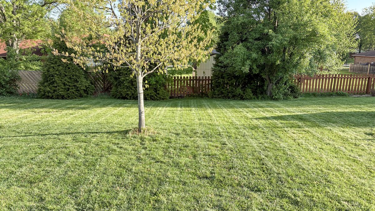 Lawn after being mowed by Lymow One Plus robot mower