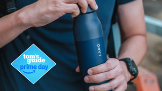 the LARQ Bottle PureVis 