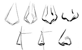 How to draw a face: Several illustrations of noses