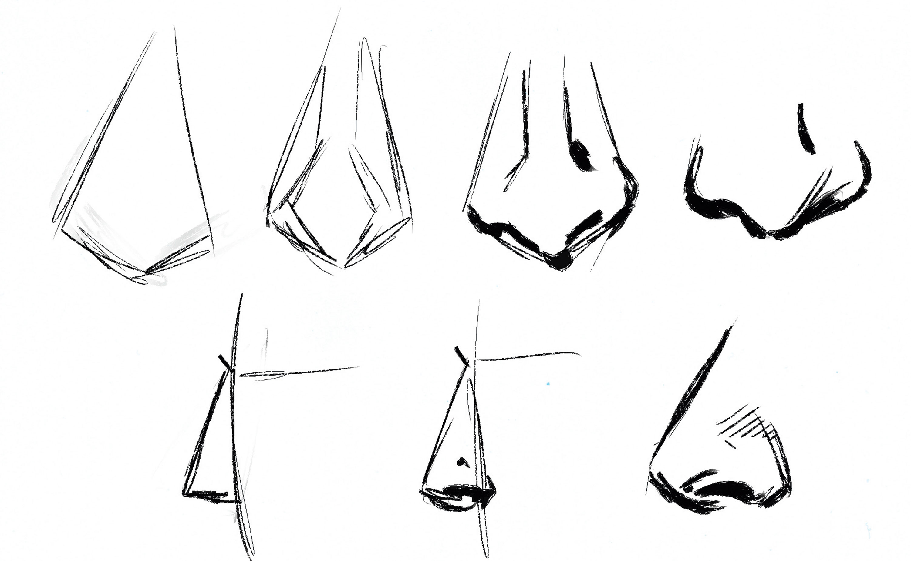 Several illustrations of noses