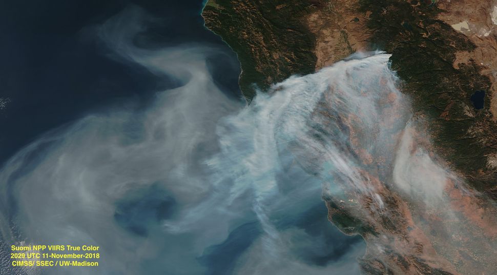 In Photos: The 2018 California Wildfires as Seen from Space | Space