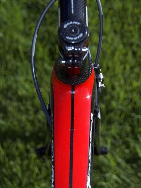 There isn't quite as much flaring up here as on the TCR Advanced SL but the proportions are still awfully big.