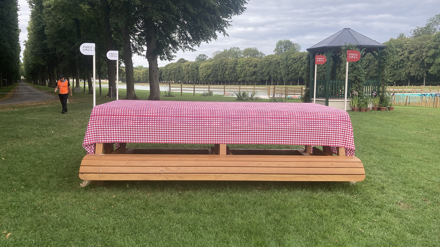 Paris Olympics cross-country course: fence 14