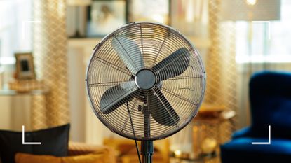 picture of stainless steel electric standing fan in living room to support an article asking how much does it cost to run a fan