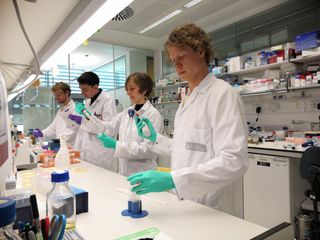 4 scientists working at a lab bench
