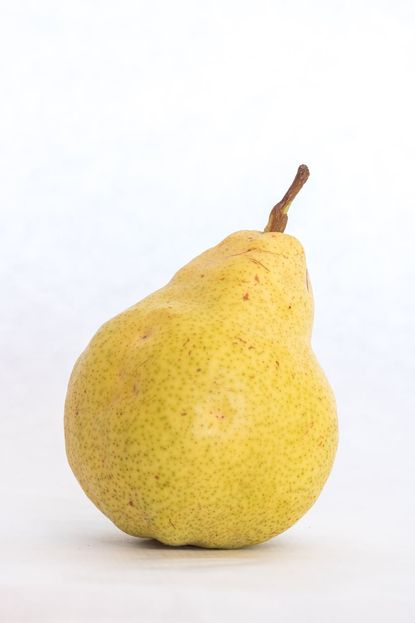 Bartlett Pears Information and Facts