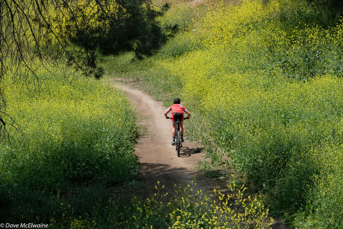 A lone rider descents through the spring flowers at Bonelli Park