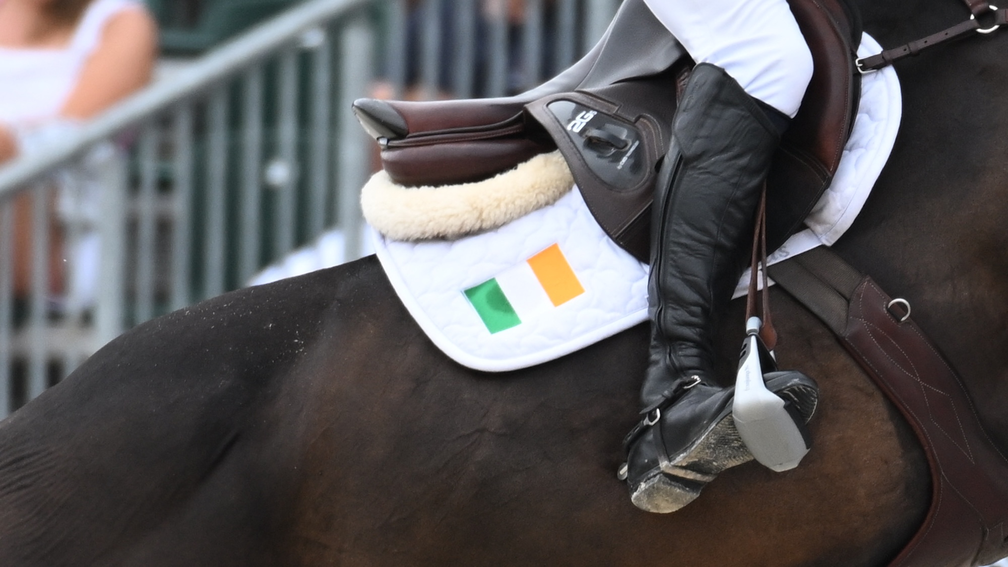 An Irish team flag on a showjumper's saddlecloth
