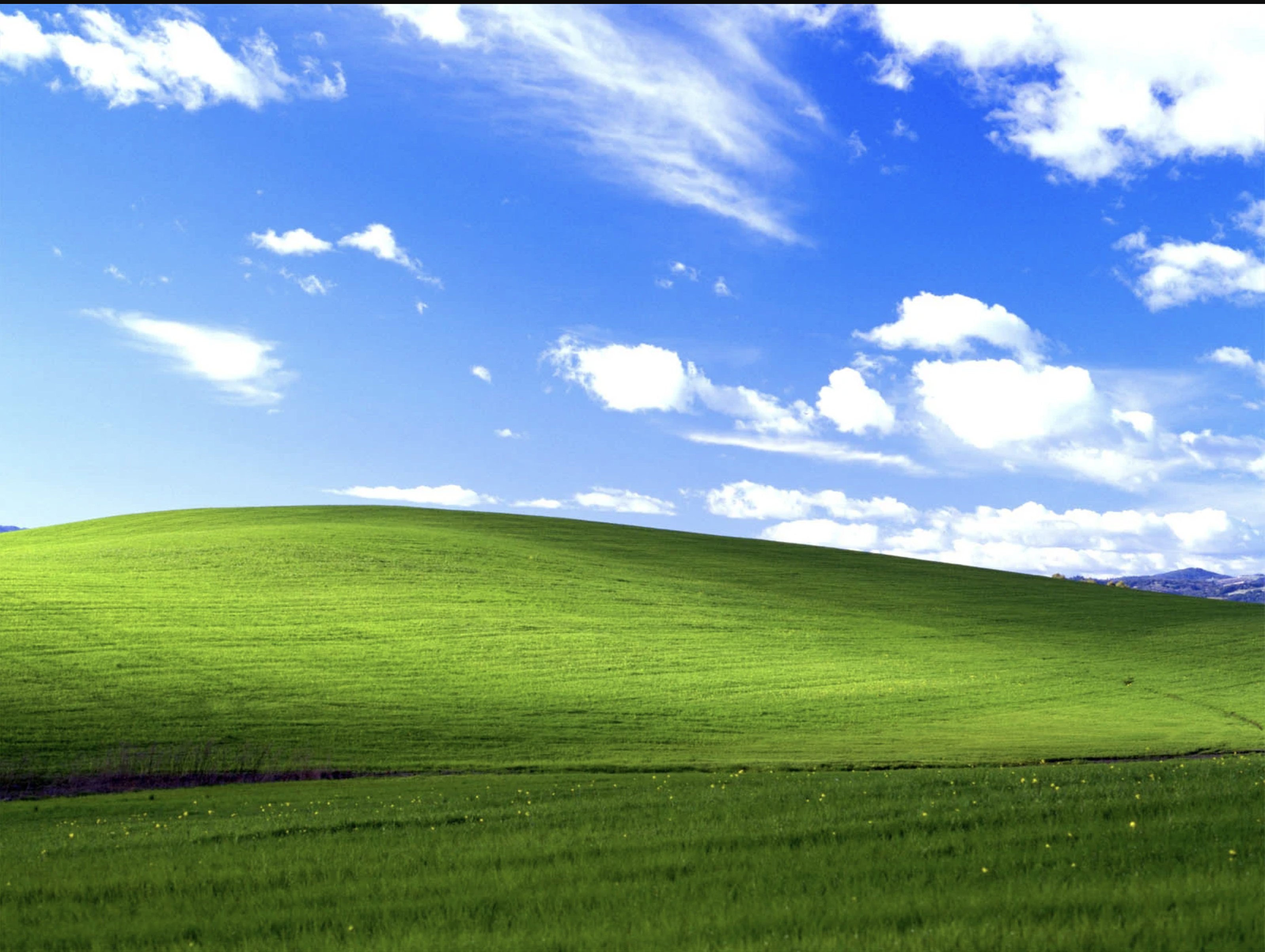 Windows XP image 
