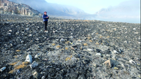 a person stands amid a rocky beach in the Arctic