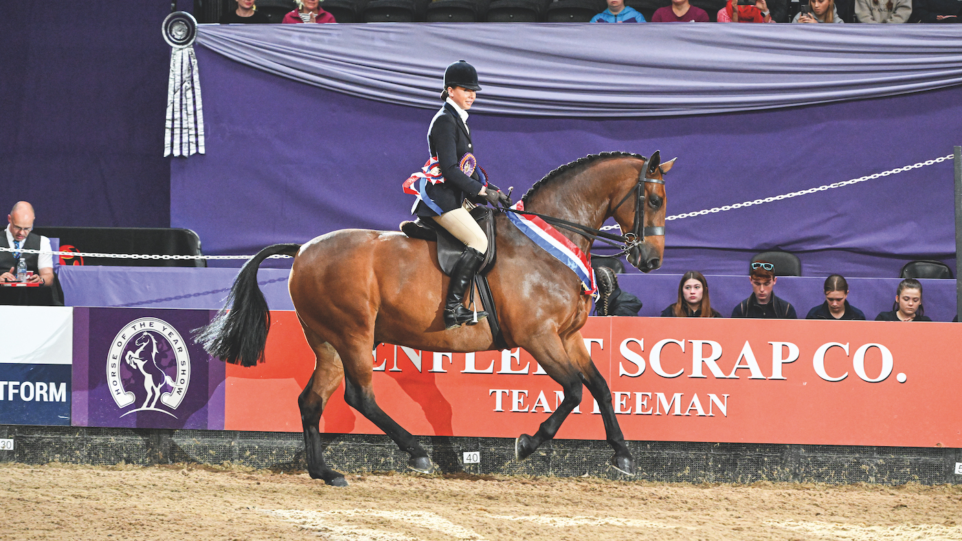 Training plaited ponies for success in the show ring