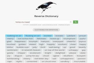 Screenshot Reverse Dictionary