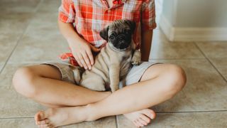 New puppy on boy's lap