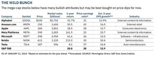 chart of magnificent 7 stocks with key financial metrics include p/e ratio