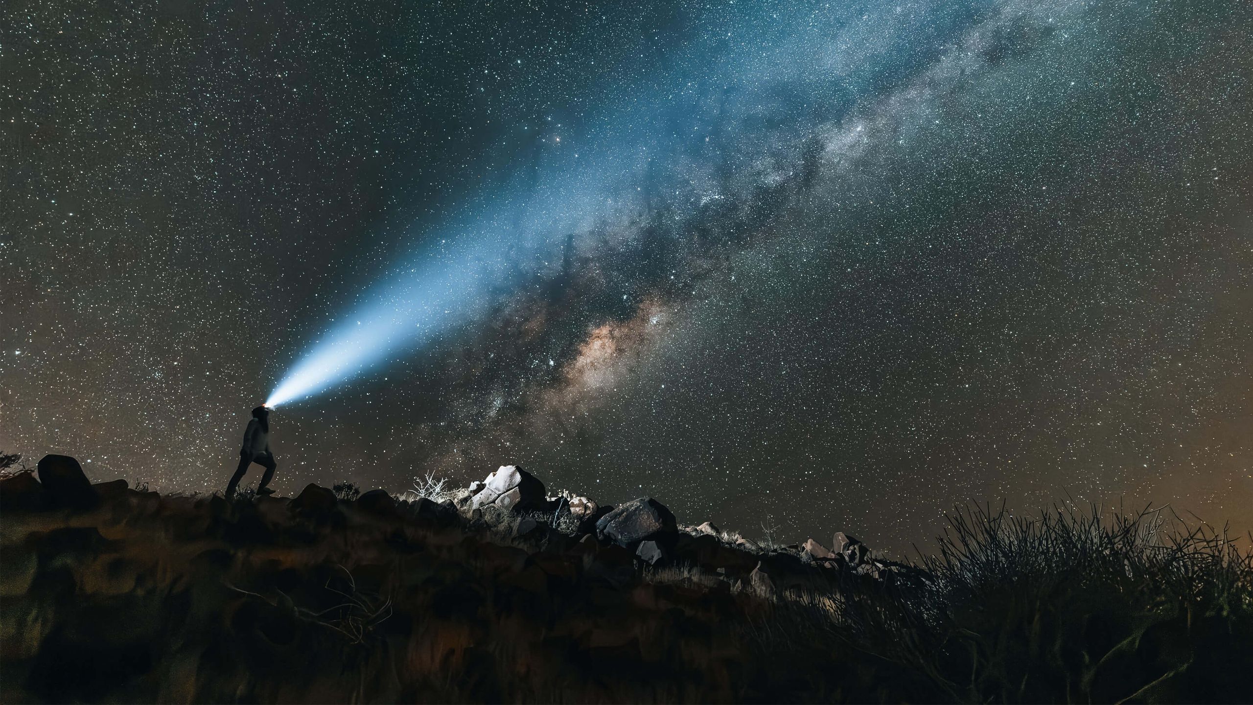Africa's best night-safari destinations could also be dream locations for astrophotographers