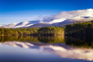A view from Cairngorms National Park, a loch surrounded by forest with snow-peaked mountains in the background