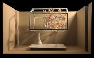 theatre set design with white tree in a frame