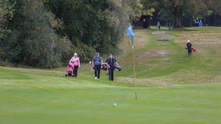 Golfers walking on fairway