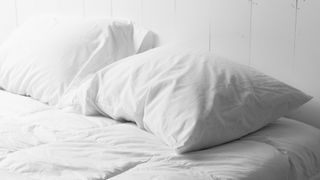 Dust mite poop and dead skin  Why you should bin old bed pillows - 60