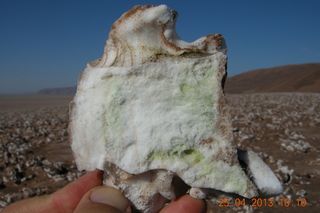 This barren-looking rock, from the harsh Atacama desert in Chile, contains a surprisingly robust community of microorganisms.