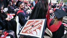 Harvard University graduation in 2025
