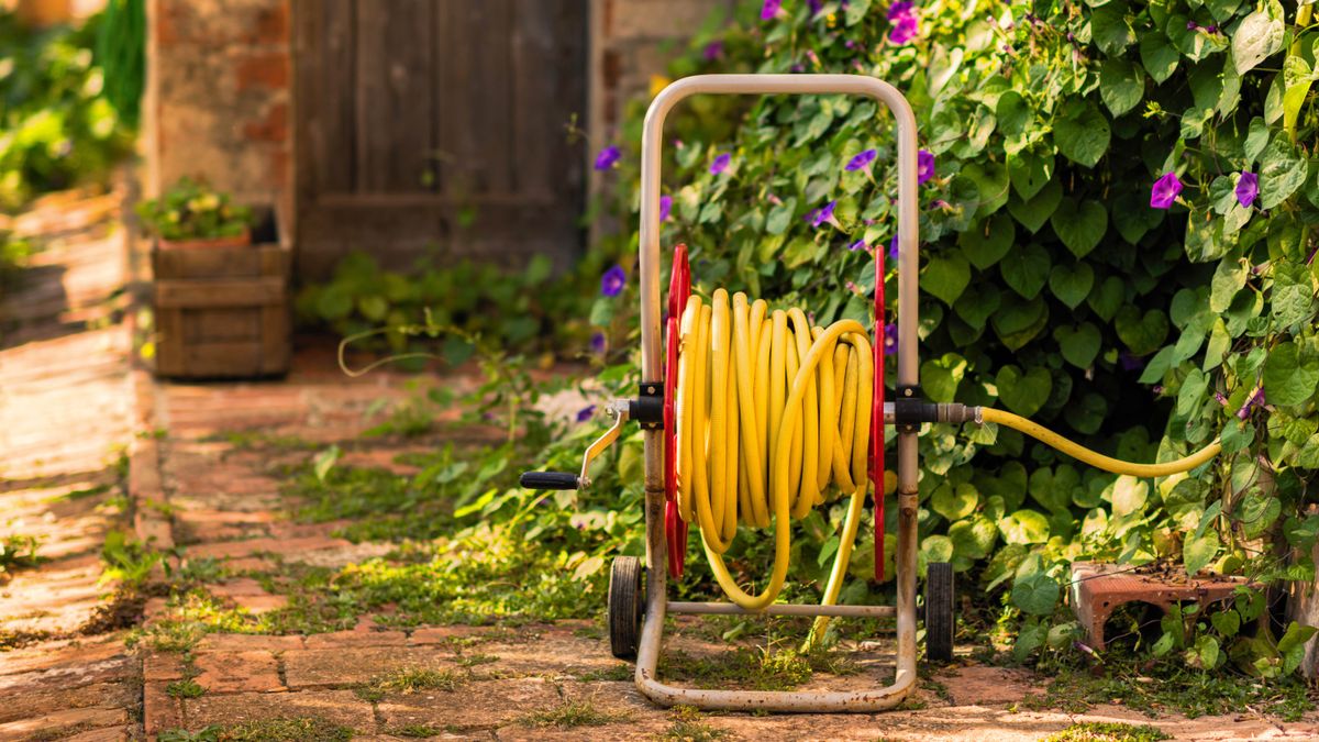 Sprinkler vs. hose which is better for your lawn? Tom's Guide