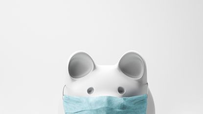A piggy bank wearing a mask to protect against COVID-19