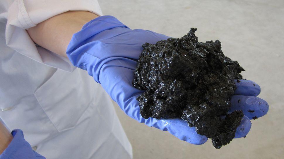 From biohazard to biofuel the tech turning poop into energy TechRadar