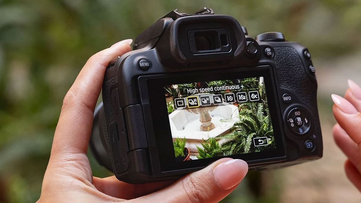 Canon EOS R10 vs EOS RP Digital Camera World